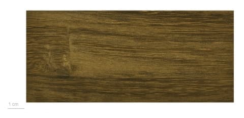 Recordoxylon speciosum