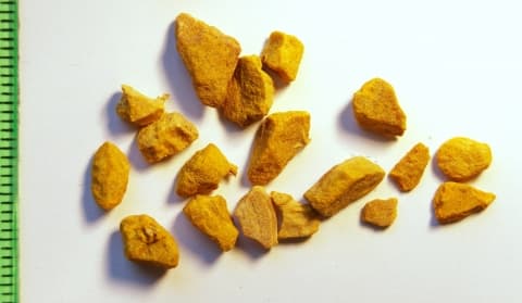 Curcuma zanthorrhiza