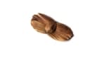 Terminalia argentea
