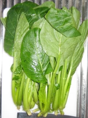 Brassica rapa perviridis